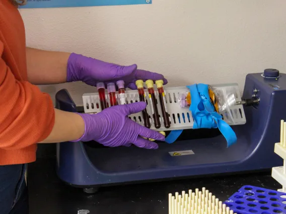 Person holding full test tubes