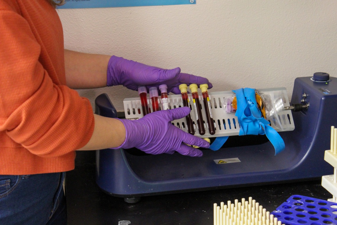 Person holding full test tubes